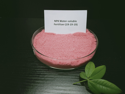 NPK Water-soluble Fertilizer (19-19-19)