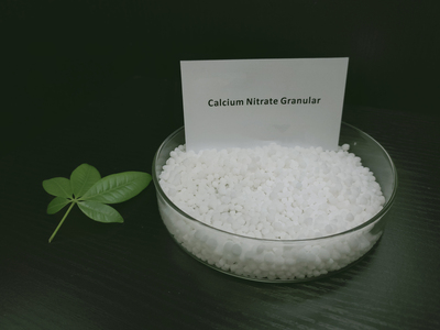 Calcium Nitrate Granular