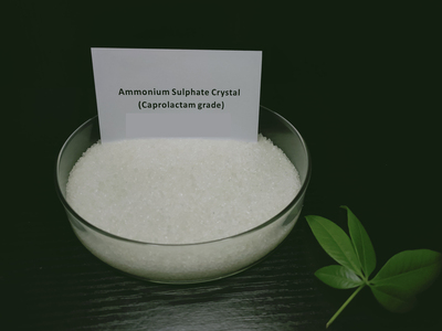 Ammonium Sulphate Crystal (Caprolactam grade)
