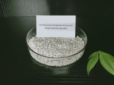 Ammonium Sulphate Granular(Caprolactam grade)